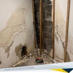 Can Mold In Basement Make You Sick