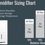 Do I Need A Dehumidifier In The Basement