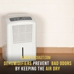 Do You Need A Dehumidifier In The Basement