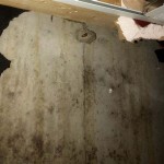 Mold On Concrete Basement Walls