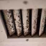 Musty Basement Smell Coming Through Vents In House