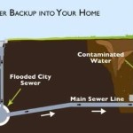 Sewage Backing Up Into Basement